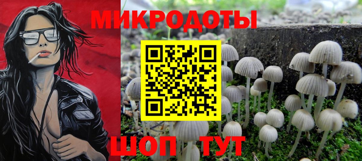 Галлюциногенные грибы Psilocybine cubensis  Галлюциногенные грибы мицелий  Вход с VPN  Орск 